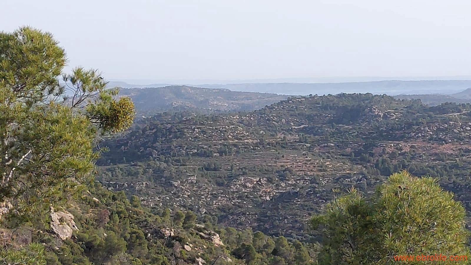 1 bedroom Townhouse for sale in Maella - € 16,000 (Ref: 9764889)