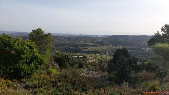 1 soverom Hus til salgs i Maella - € 16 000 (Ref: 9764889)