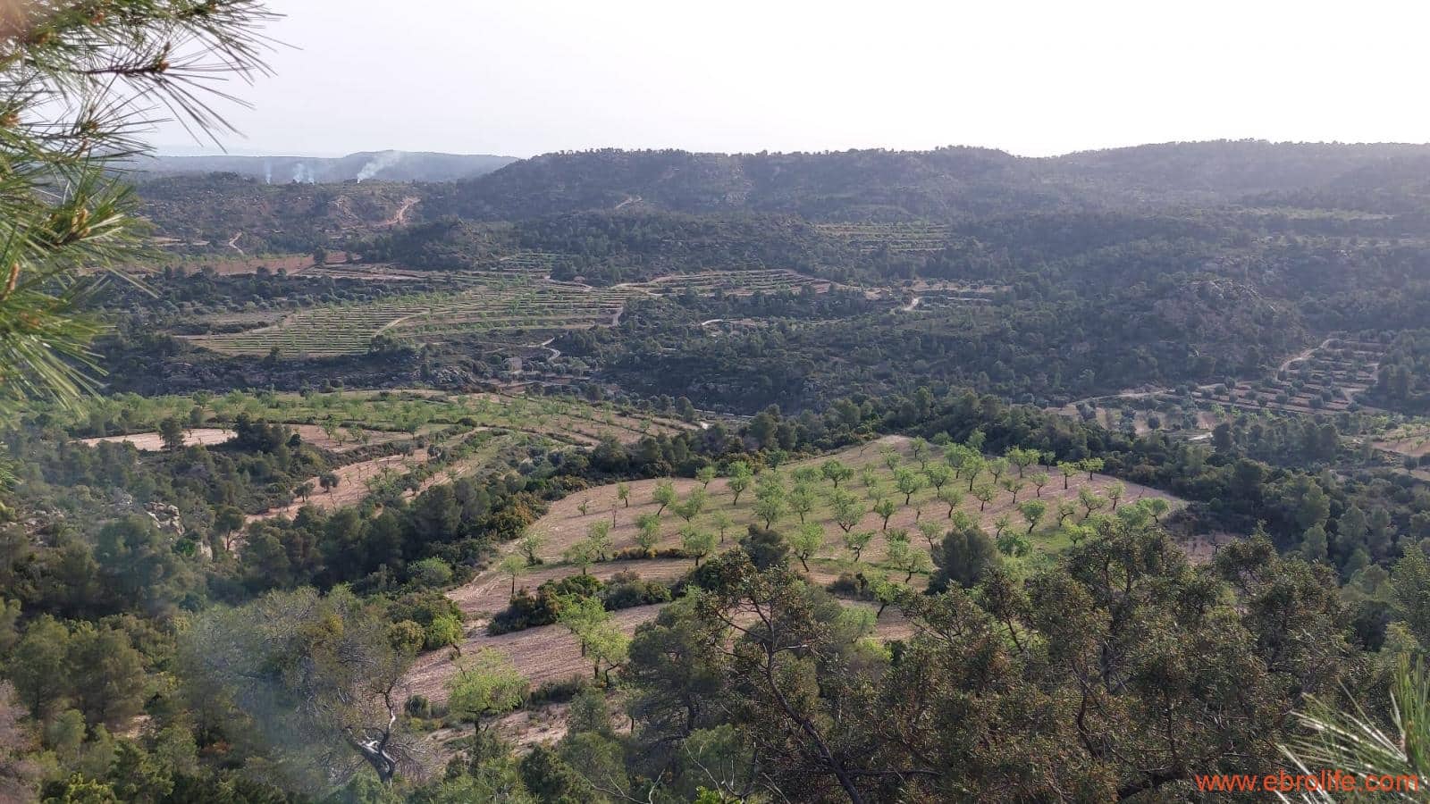 1 bedroom Townhouse for sale in Maella - € 16,000 (Ref: 9764889)