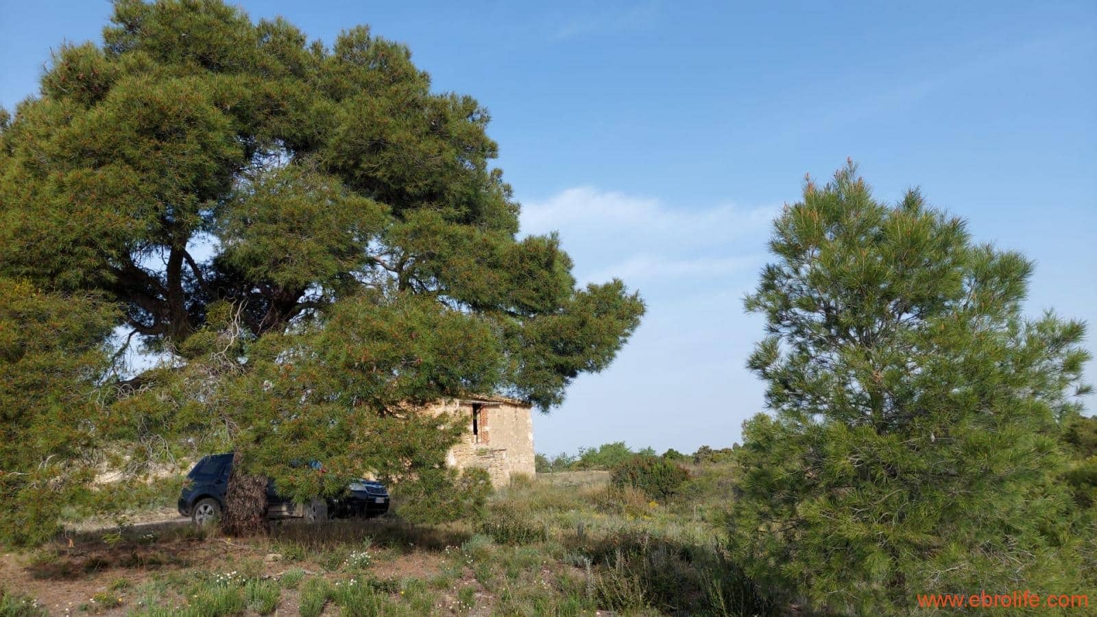 1 bedroom Townhouse for sale in Maella - € 16,000 (Ref: 9764889)