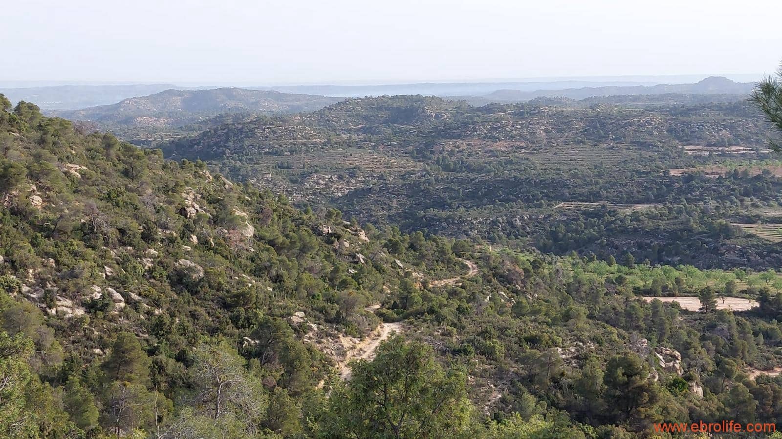 1 bedroom Townhouse for sale in Maella - € 16,000 (Ref: 9764889)