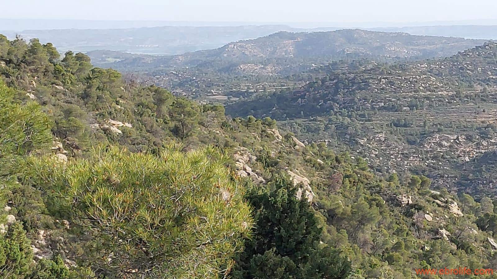 1 bedroom Townhouse for sale in Maella - € 16,000 (Ref: 9764889)