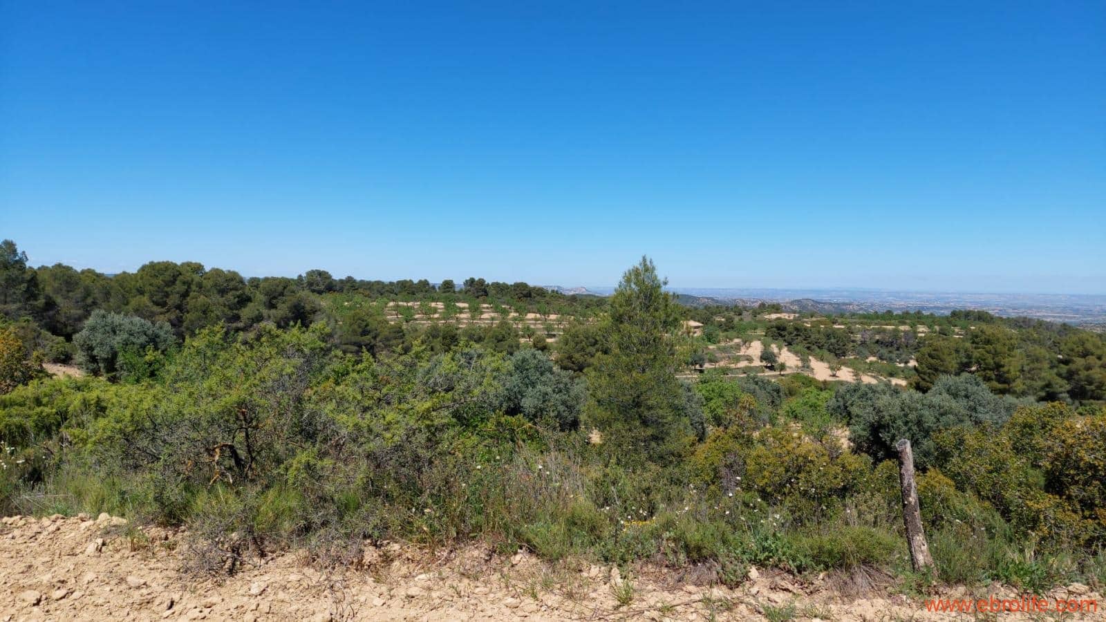 Finca/Casa di Campagna in vendita in Mazaleon - 13.000 € (Rif: 9785108)