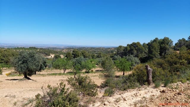 Finca/Casa di Campagna in vendita in Mazaleón - 13.000 € (Rif: 9785108)