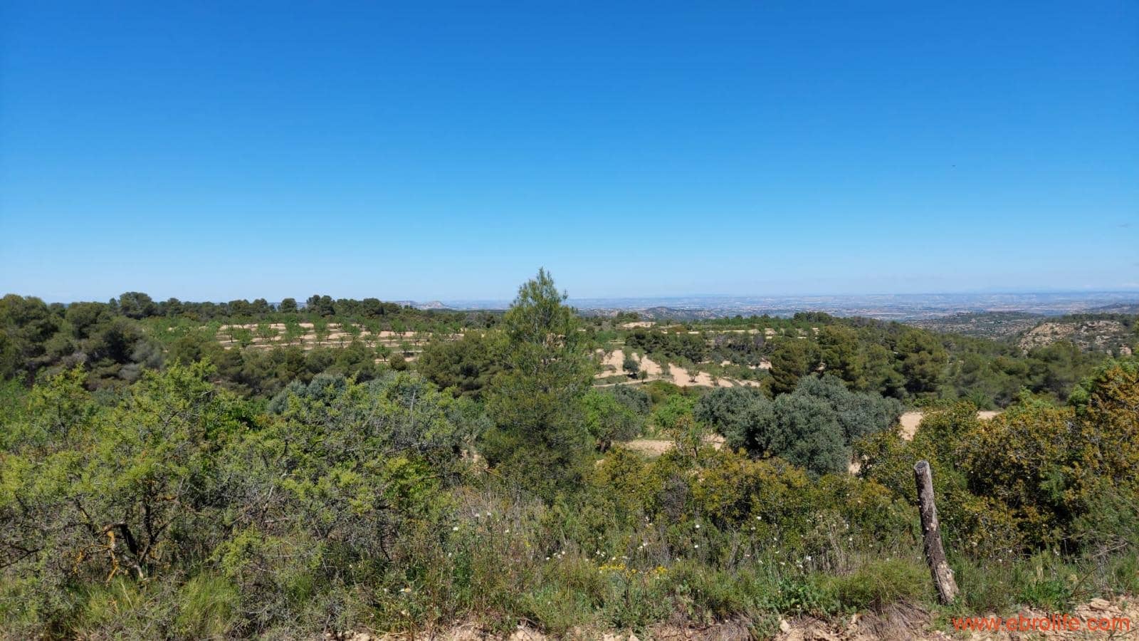 Finca/Casa di Campagna in vendita in Mazaleon - 13.000 € (Rif: 9785108)