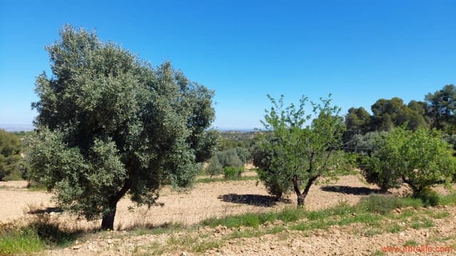 Finca/Casa di Campagna in vendita in Mazaleón - 13.000 € (Rif: 9785108)