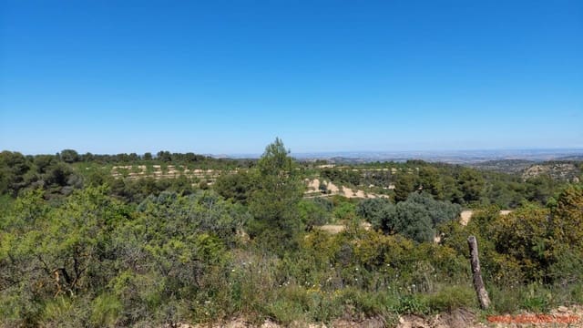 Finca/Casa di Campagna in vendita in Mazaleón - 13.000 € (Rif: 9785108)