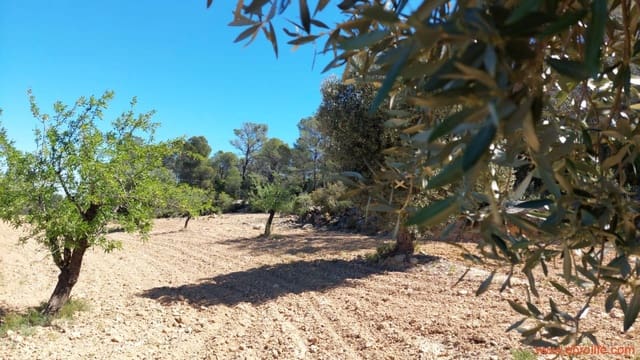 Finca/Casa di Campagna in vendita in Mazaleón - 13.000 € (Rif: 9785108)