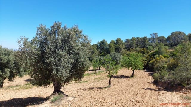 Finca/Casa di Campagna in vendita in Mazaleón - 13.000 € (Rif: 9785108)