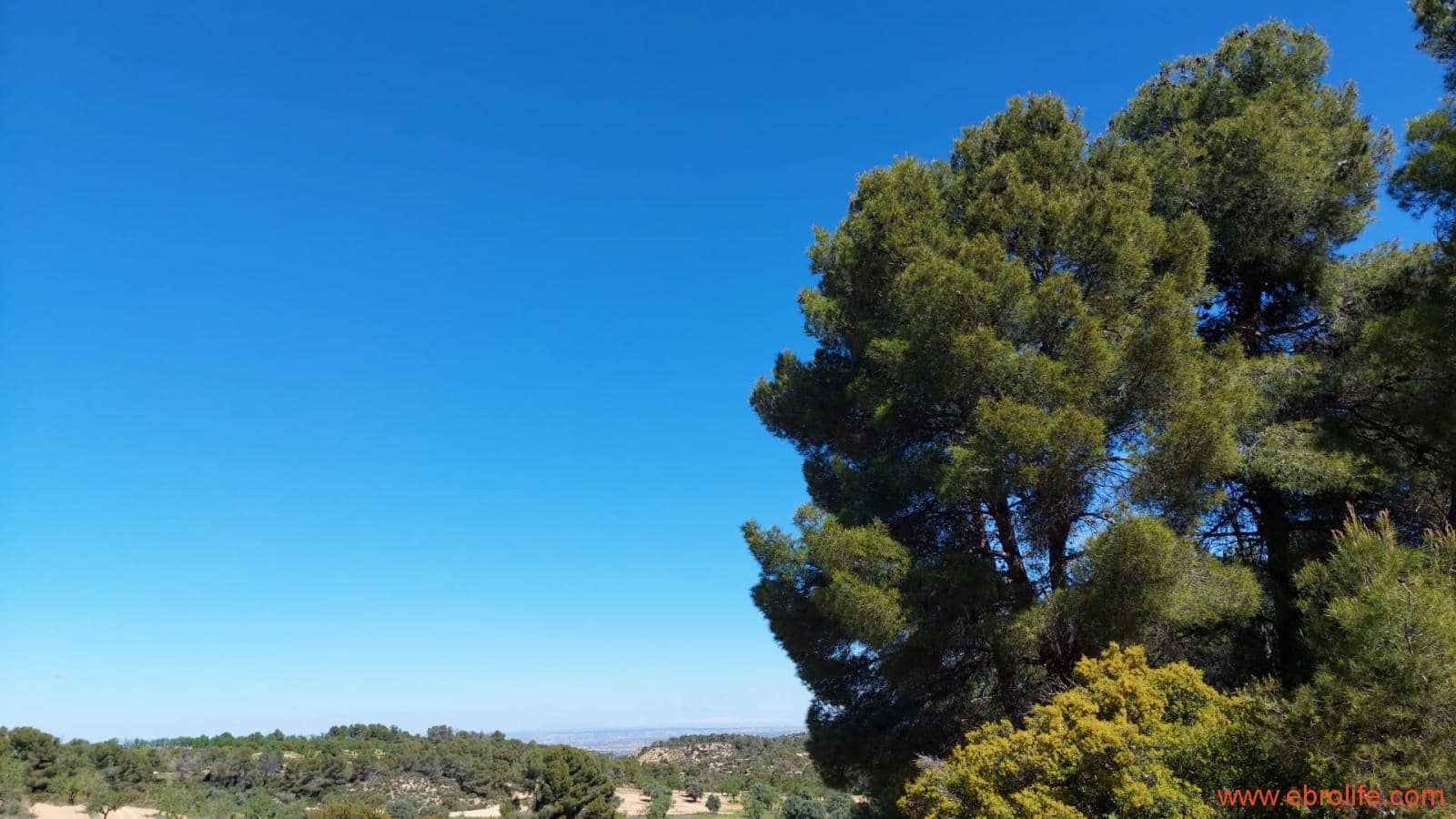 Finca/Casa di Campagna in vendita in Mazaleon - 13.000 € (Rif: 9785108)