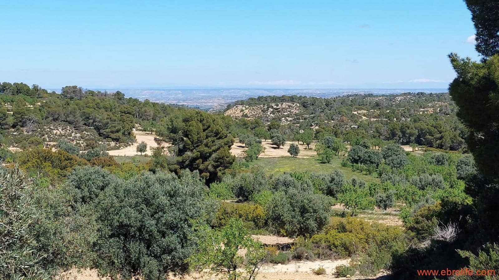 Finca/Casa di Campagna in vendita in Mazaleon - 13.000 € (Rif: 9785108)