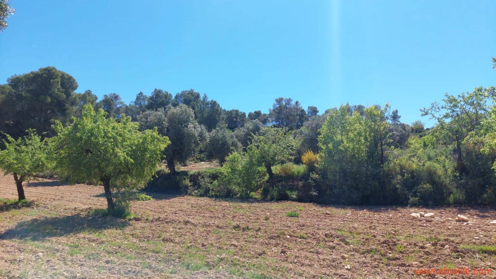 Finca/Casa di Campagna in vendita in Mazaleon - 13.000 € (Rif: 9785108)