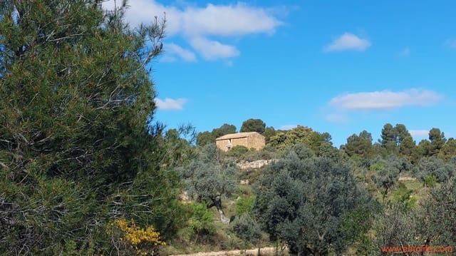 1 camera da letto Finca/Casa di Campagna in vendita in Mazaleón - 38.000 € (Rif: 9785109)