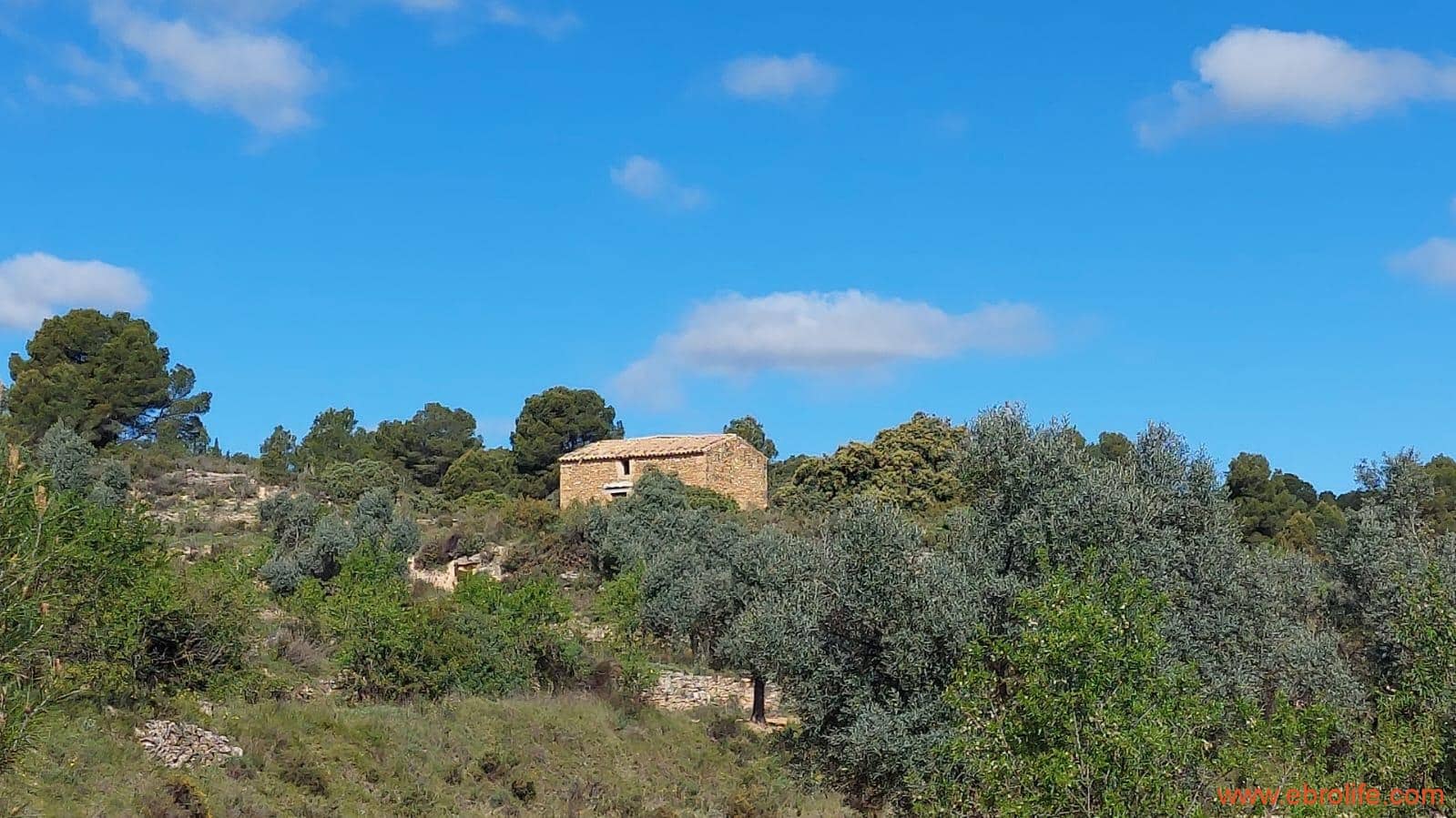1 camera da letto Finca/Casa di Campagna in vendita in Mazaleon - 38.000 € (Rif: 9785109)
