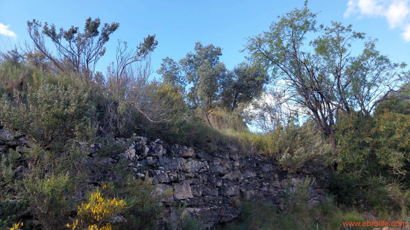 1 camera da letto Finca/Casa di Campagna in vendita in Mazaleon - 38.000 € (Rif: 9785109)