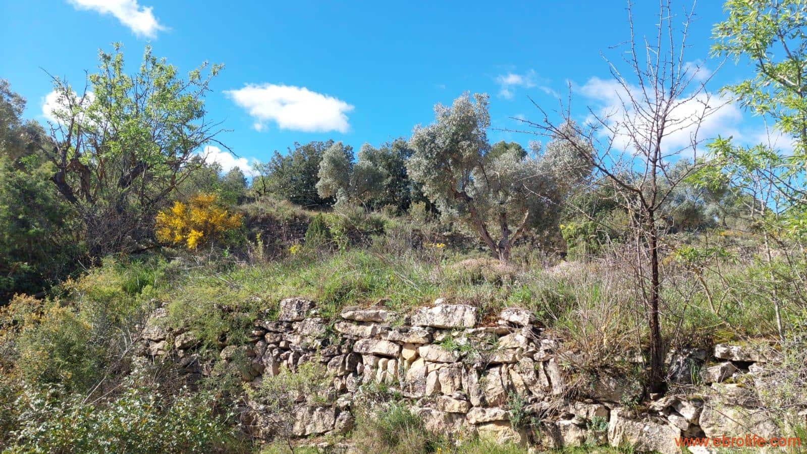 1 camera da letto Finca/Casa di Campagna in vendita in Mazaleon - 38.000 € (Rif: 9785109)