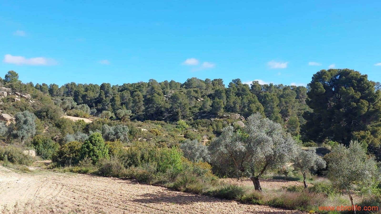 1 camera da letto Finca/Casa di Campagna in vendita in Mazaleon - 38.000 € (Rif: 9785109)