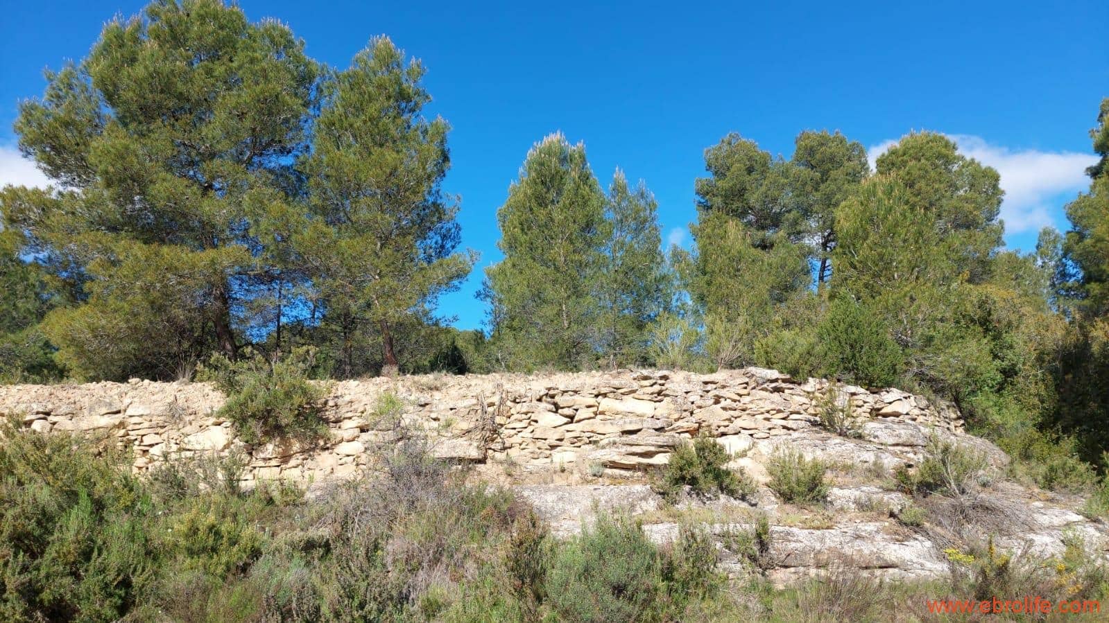 1 camera da letto Finca/Casa di Campagna in vendita in Mazaleon - 38.000 € (Rif: 9785109)