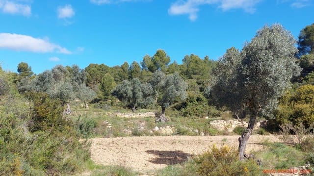 1 camera da letto Finca/Casa di Campagna in vendita in Mazaleón - 38.000 € (Rif: 9785109)