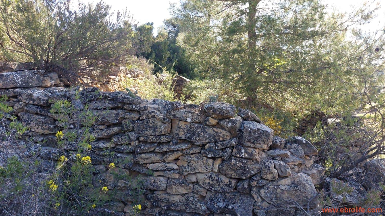 1 camera da letto Finca/Casa di Campagna in vendita in Mazaleon - 38.000 € (Rif: 9785109)