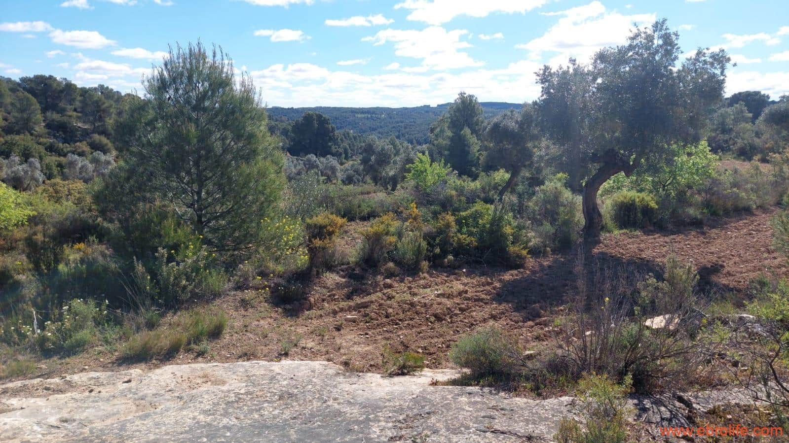 1 camera da letto Finca/Casa di Campagna in vendita in Mazaleon - 38.000 € (Rif: 9785109)