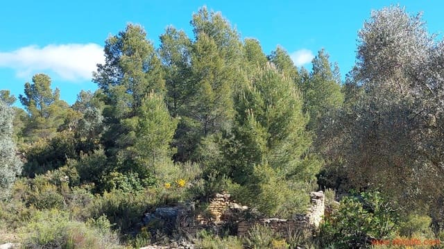 1 camera da letto Finca/Casa di Campagna in vendita in Mazaleón - 38.000 € (Rif: 9785109)