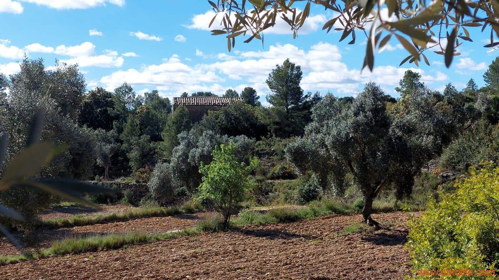 1 camera da letto Finca/Casa di Campagna in vendita in Mazaleon - 38.000 € (Rif: 9785109)