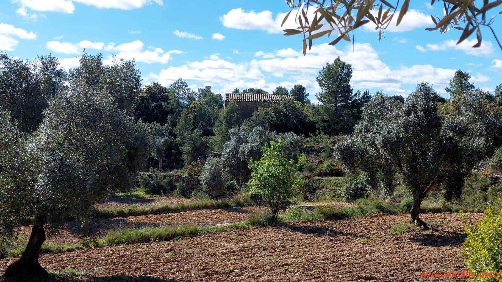 1 camera da letto Finca/Casa di Campagna in vendita in Mazaleon - 38.000 € (Rif: 9785109)