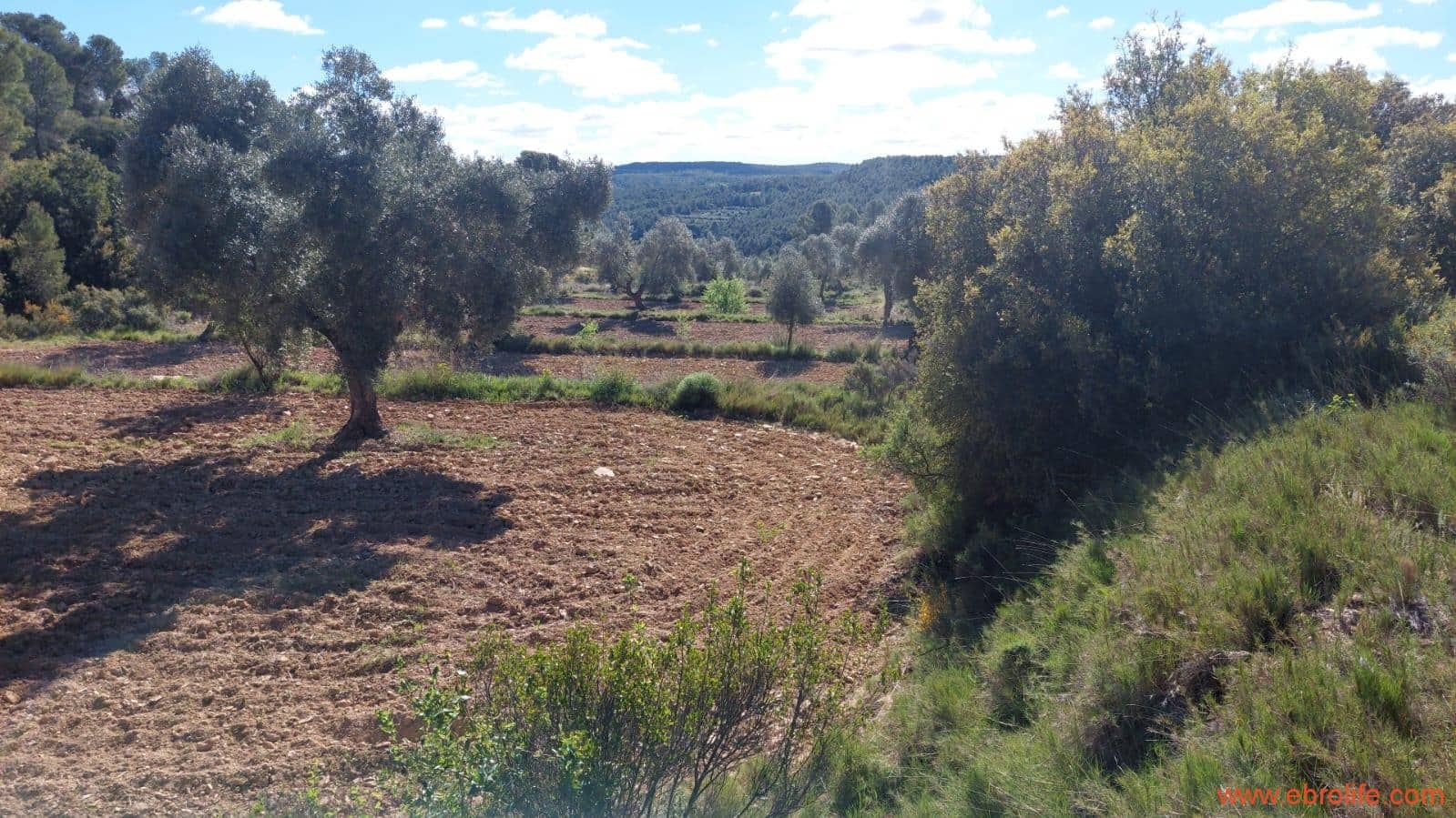 1 camera da letto Finca/Casa di Campagna in vendita in Mazaleon - 38.000 € (Rif: 9785109)