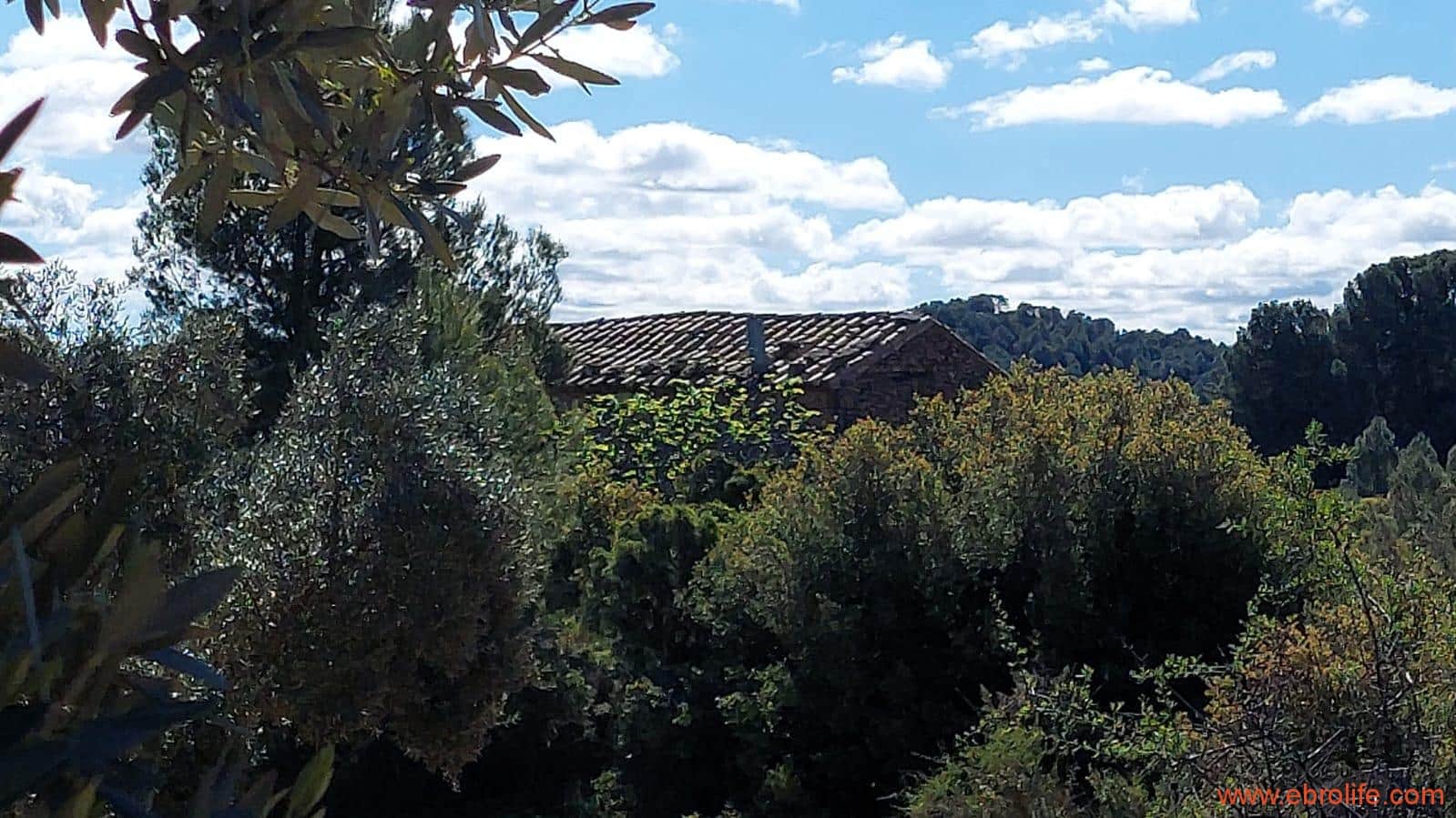 1 camera da letto Finca/Casa di Campagna in vendita in Mazaleon - 38.000 € (Rif: 9785109)