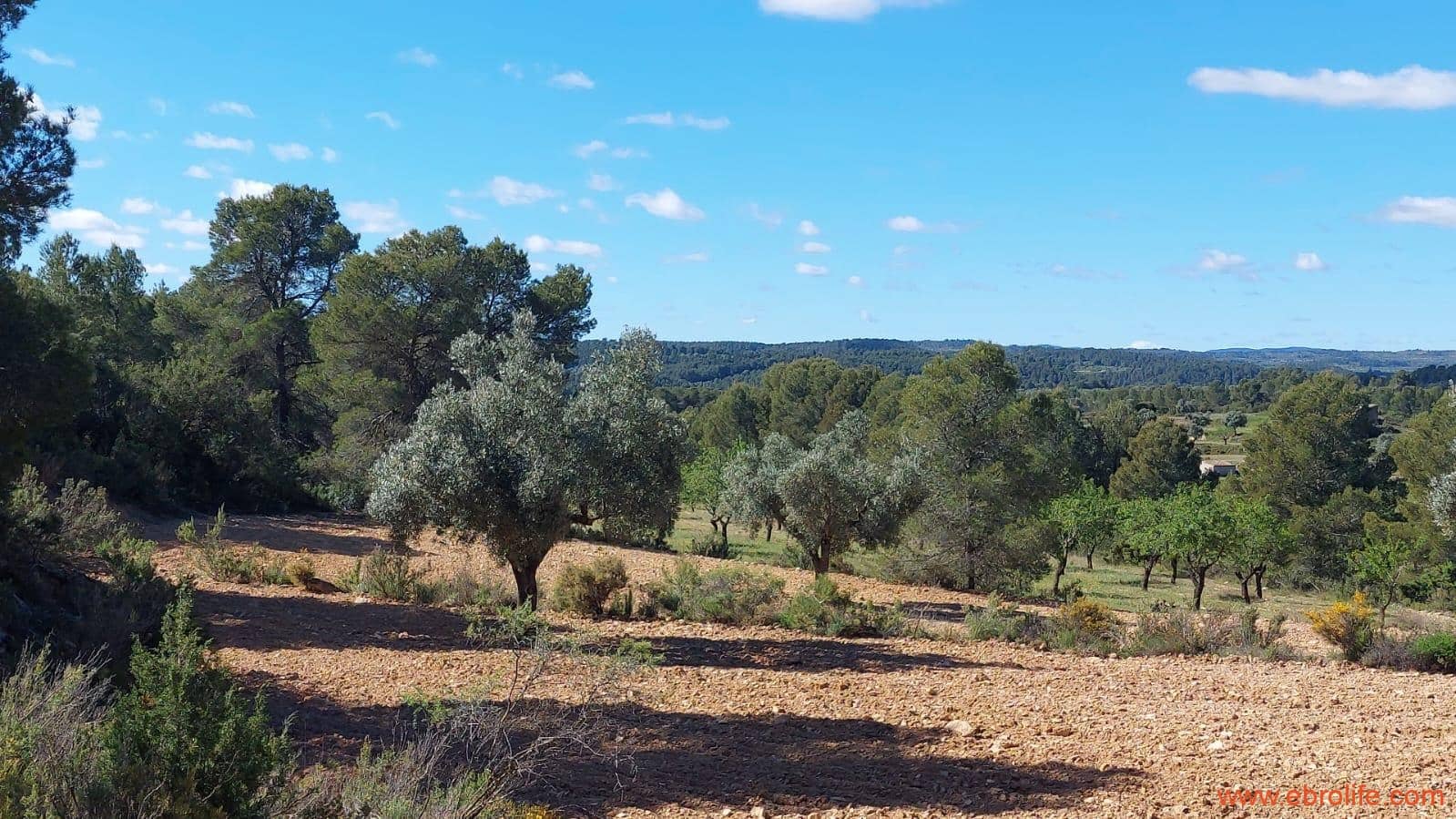 1 camera da letto Finca/Casa di Campagna in vendita in Mazaleon - 38.000 € (Rif: 9785109)