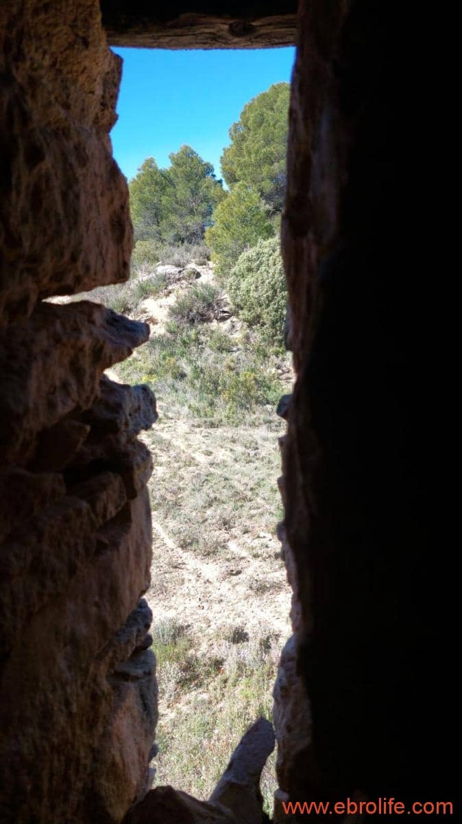 1 camera da letto Finca/Casa di Campagna in vendita in Mazaleon - 38.000 € (Rif: 9785109)