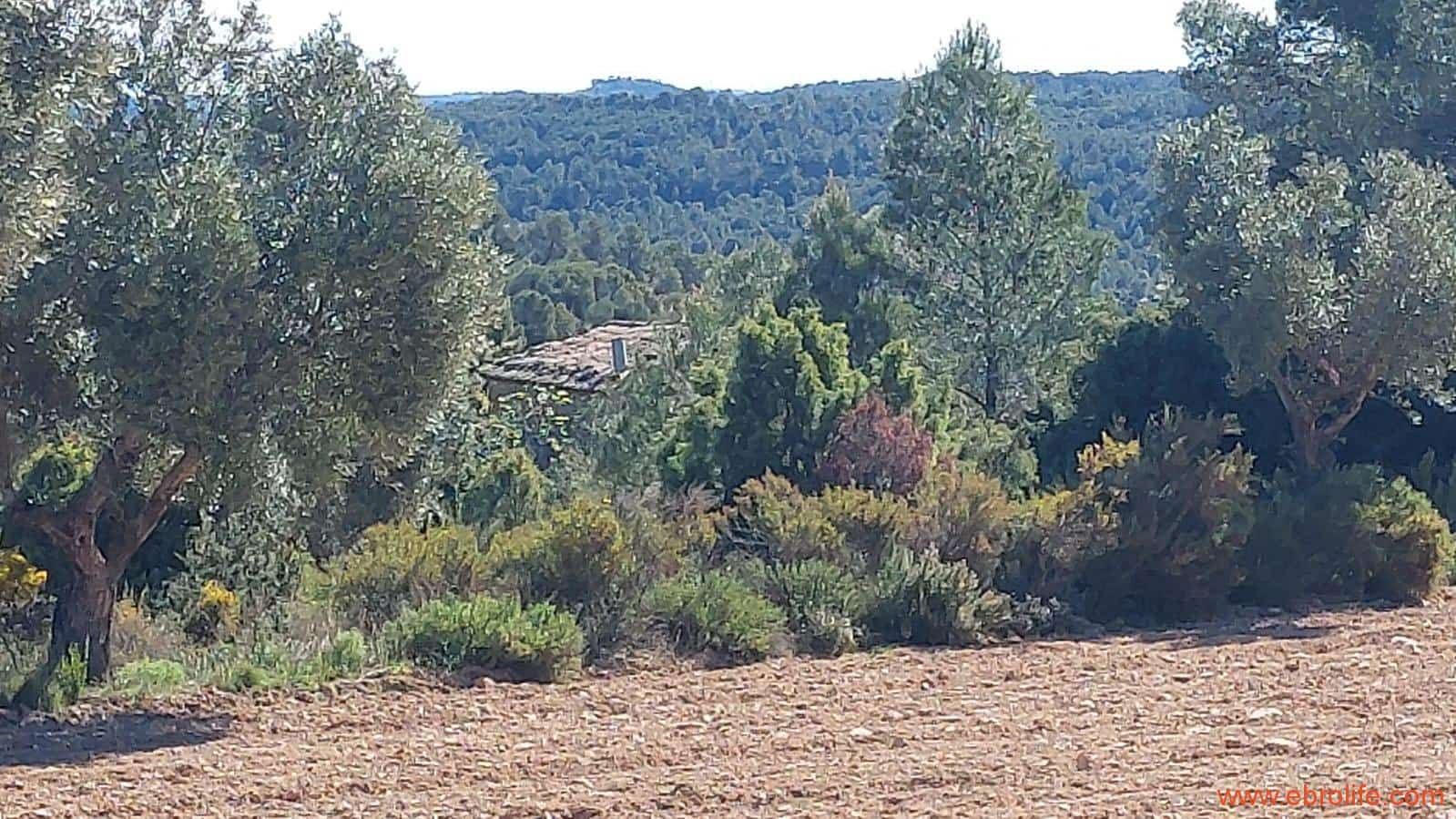 1 camera da letto Finca/Casa di Campagna in vendita in Mazaleon - 38.000 € (Rif: 9785109)