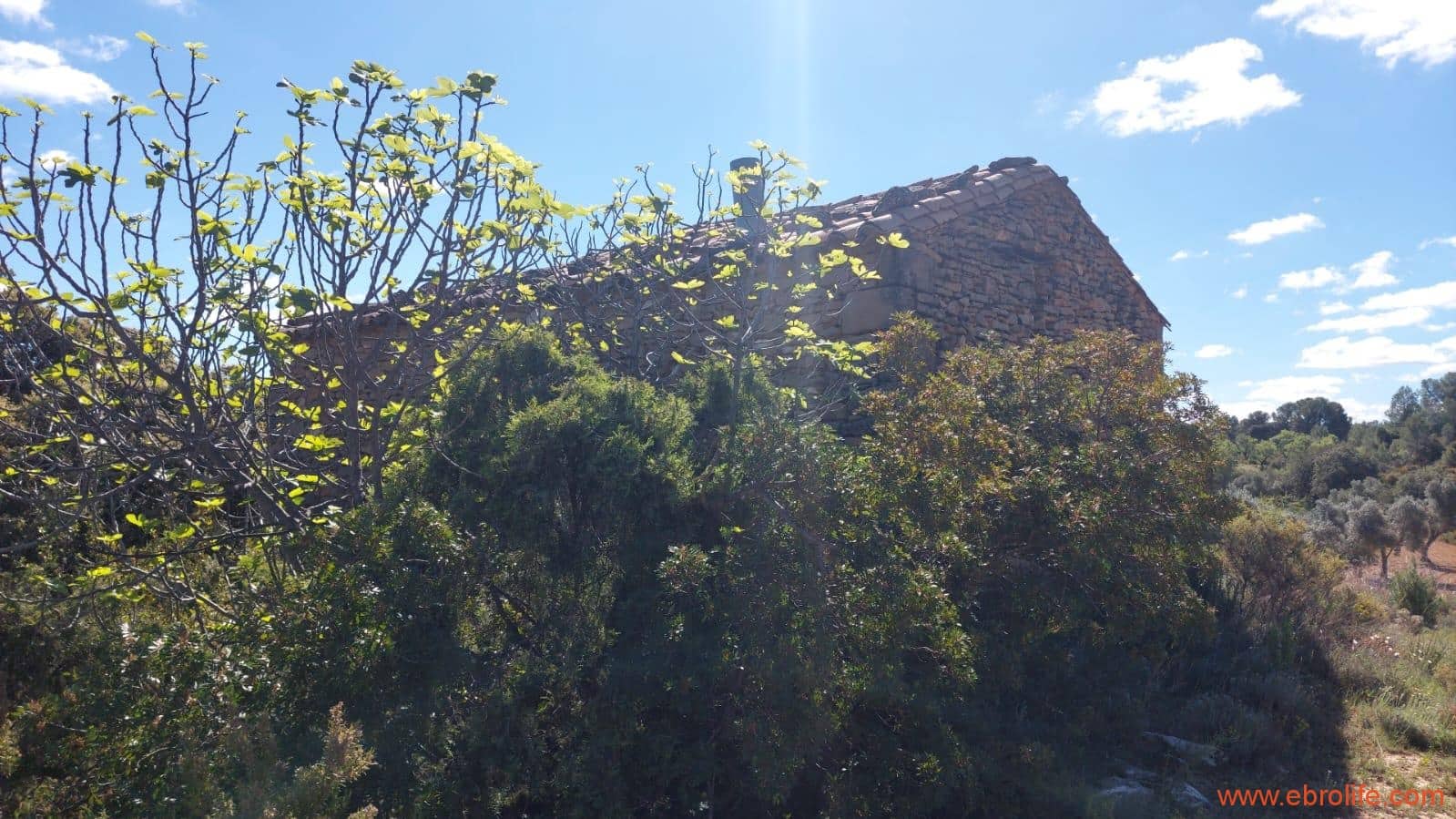 1 camera da letto Finca/Casa di Campagna in vendita in Mazaleon - 38.000 € (Rif: 9785109)