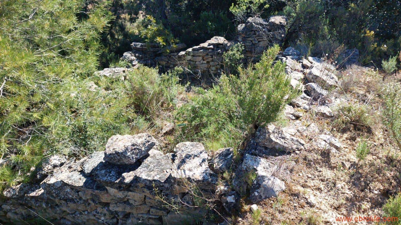 1 camera da letto Finca/Casa di Campagna in vendita in Mazaleon - 38.000 € (Rif: 9785109)