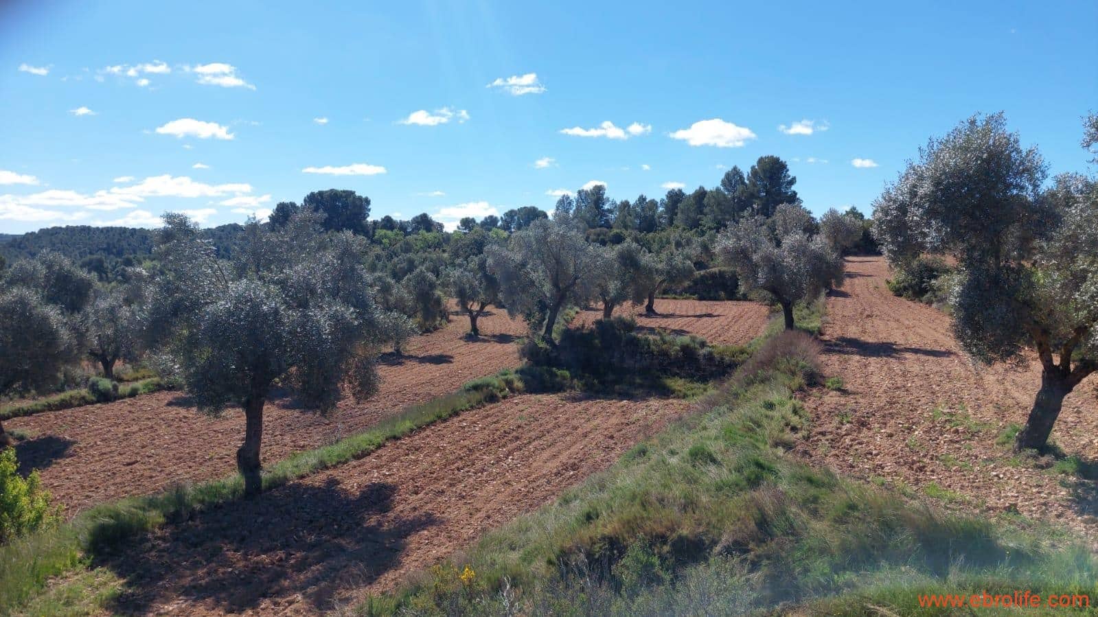 1 camera da letto Finca/Casa di Campagna in vendita in Mazaleon - 38.000 € (Rif: 9785109)