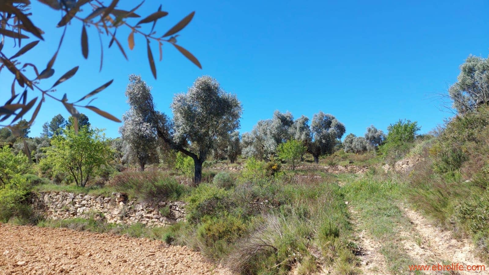 1 camera da letto Finca/Casa di Campagna in vendita in Mazaleon - 38.000 € (Rif: 9785109)