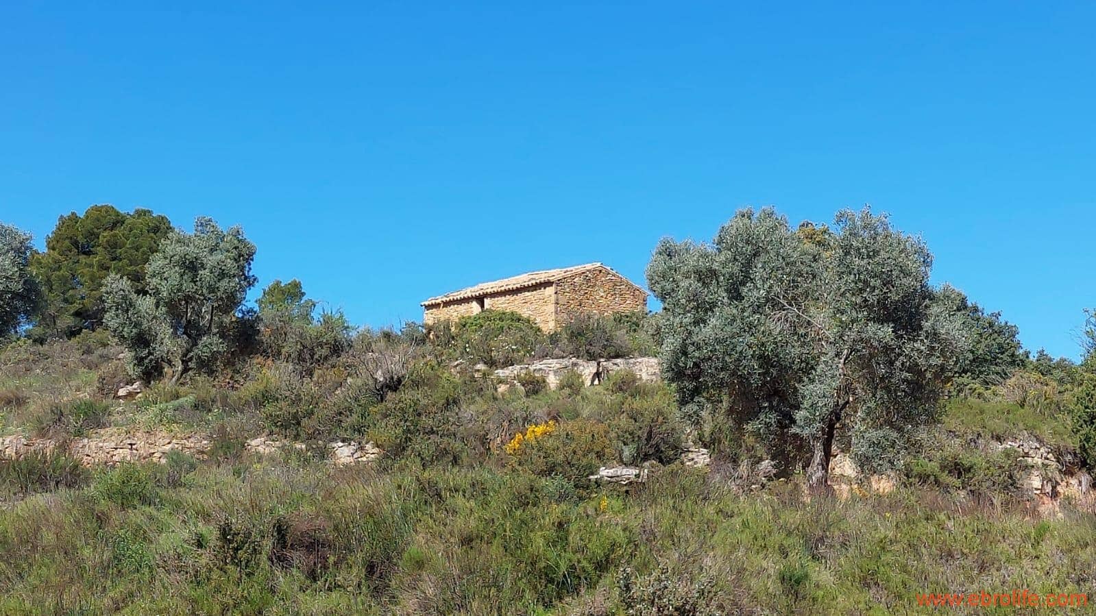 1 camera da letto Finca/Casa di Campagna in vendita in Mazaleon - 38.000 € (Rif: 9785109)