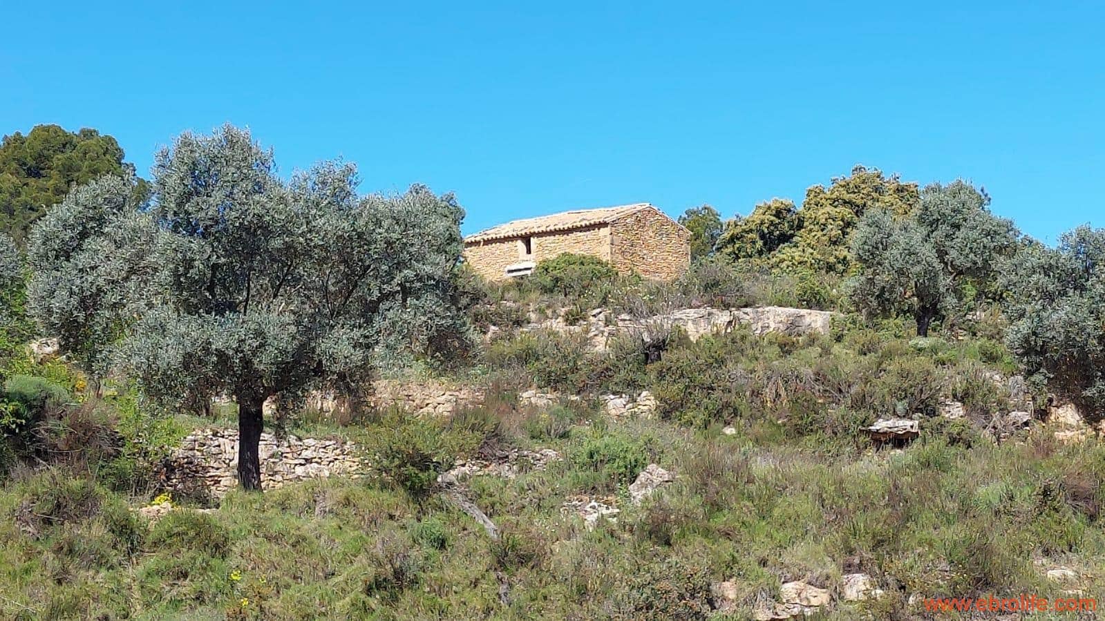 1 camera da letto Finca/Casa di Campagna in vendita in Mazaleon - 38.000 € (Rif: 9785109)