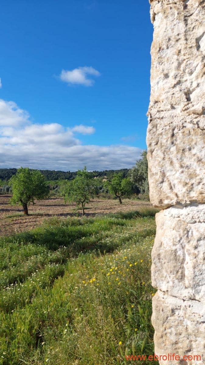 1 camera da letto Finca/Casa di Campagna in vendita in Mazaleon - 45.000 € (Rif: 9785110)