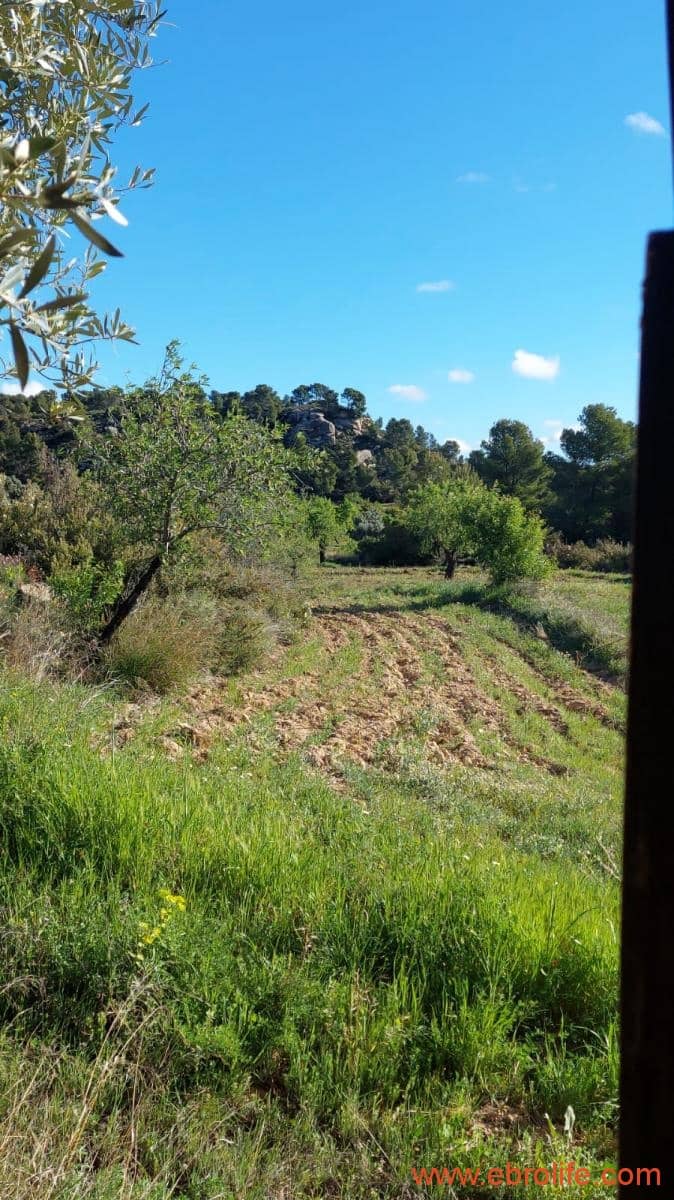 1 camera da letto Finca/Casa di Campagna in vendita in Mazaleon - 45.000 € (Rif: 9785110)