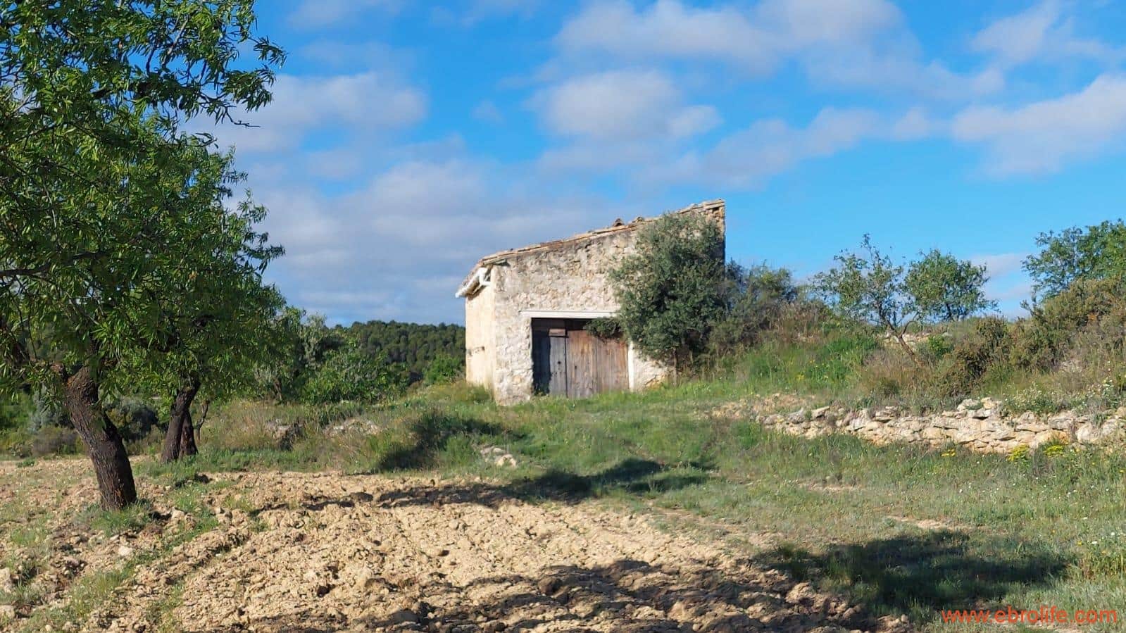 1 camera da letto Finca/Casa di Campagna in vendita in Mazaleon - 45.000 € (Rif: 9785110)