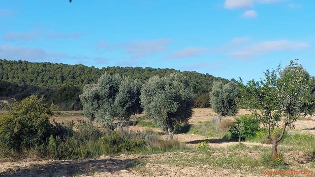 1 camera da letto Finca/Casa di Campagna in vendita in Mazaleón - 45.000 € (Rif: 9785110)