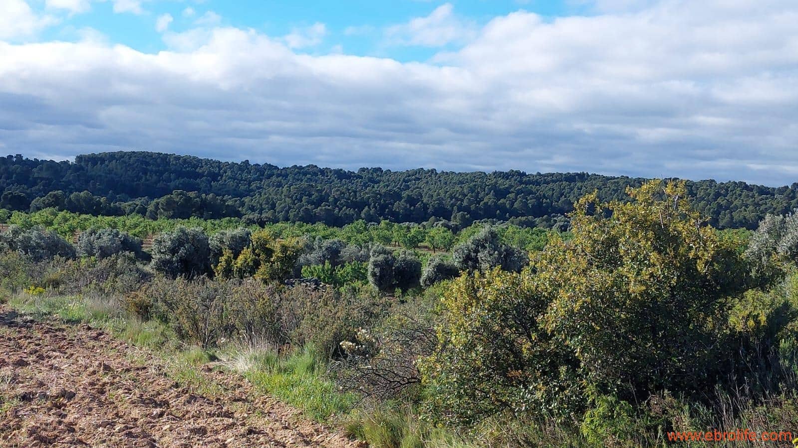 1 camera da letto Finca/Casa di Campagna in vendita in Mazaleon - 45.000 € (Rif: 9785110)