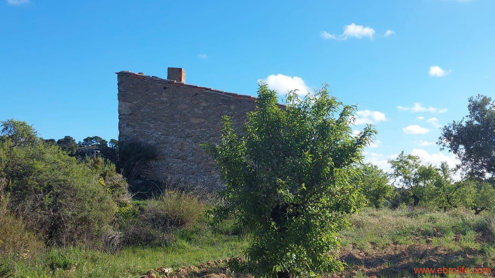 1 camera da letto Finca/Casa di Campagna in vendita in Mazaleon - 45.000 € (Rif: 9785110)