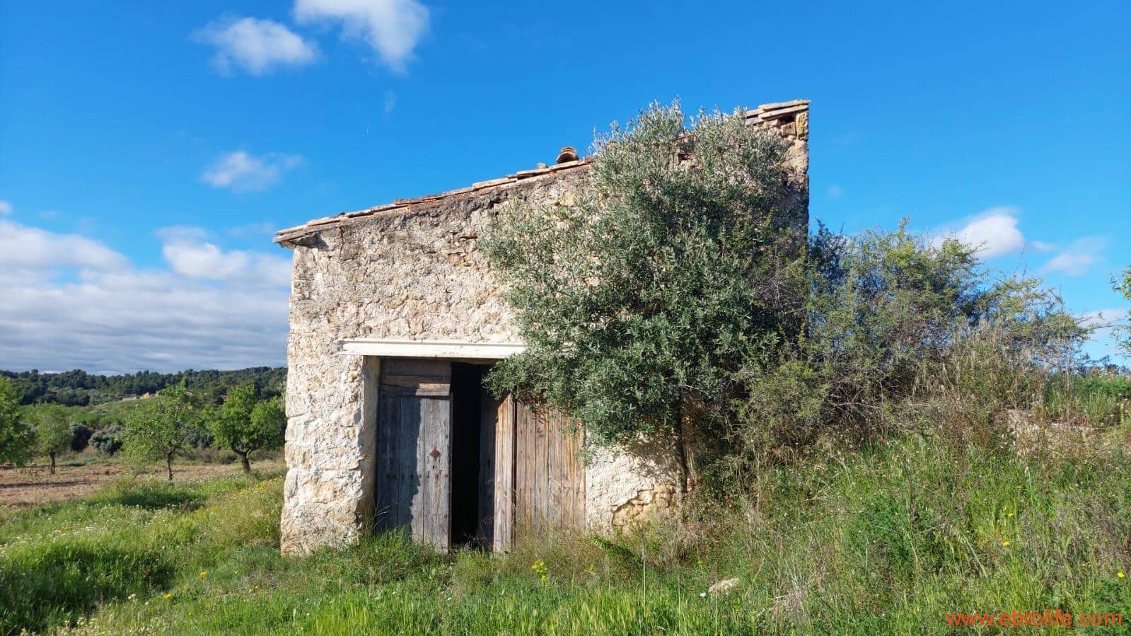 1 camera da letto Finca/Casa di Campagna in vendita in Mazaleon - 45.000 € (Rif: 9785110)