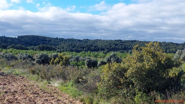 1 camera da letto Finca/Casa di Campagna in vendita in Mazaleón - 45.000 € (Rif: 9785110)