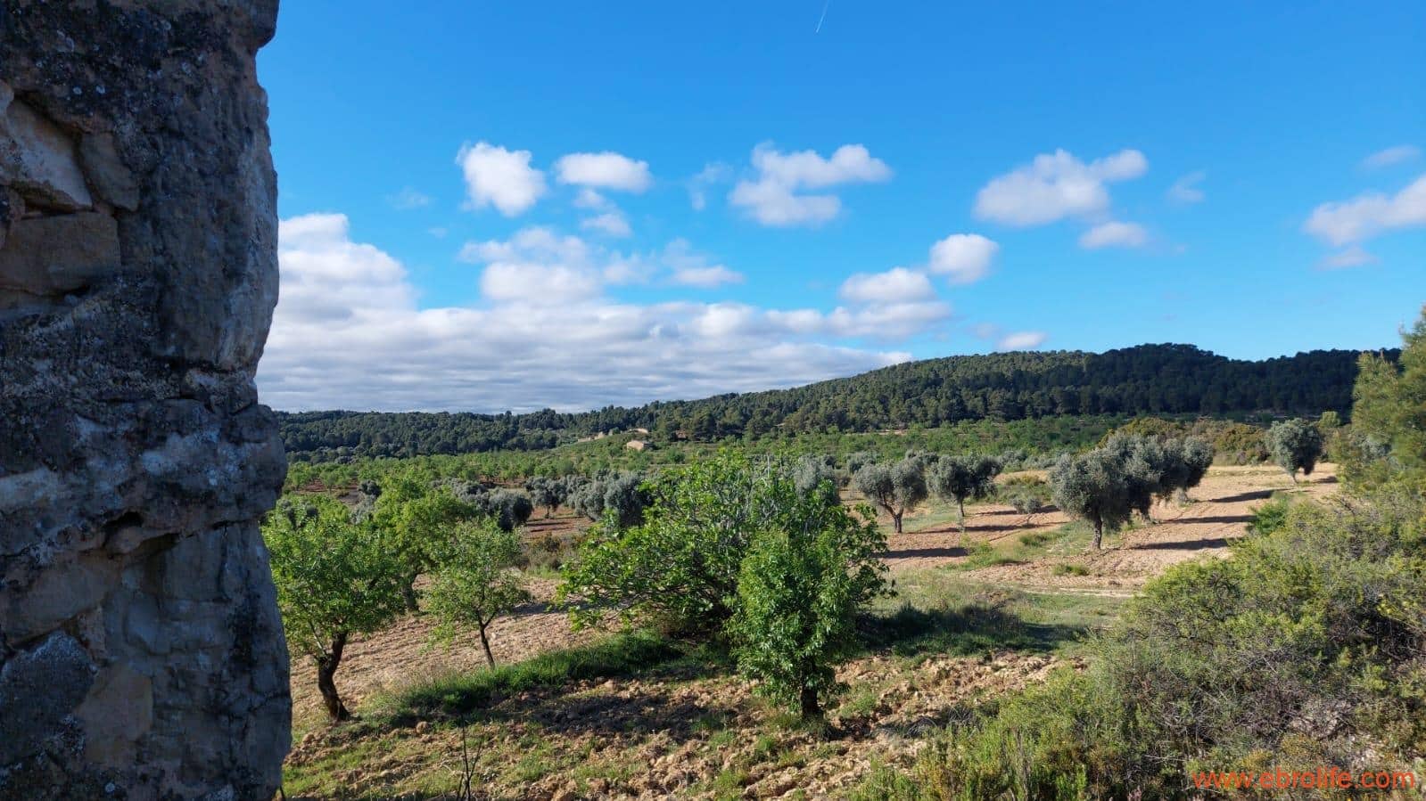 1 camera da letto Finca/Casa di Campagna in vendita in Mazaleon - 45.000 € (Rif: 9785110)