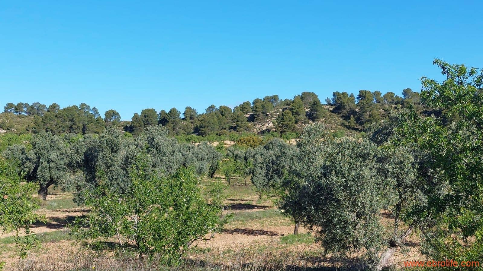 1 camera da letto Finca/Casa di Campagna in vendita in Mazaleon - 45.000 € (Rif: 9785110)