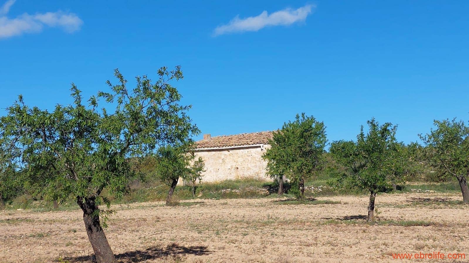 1 camera da letto Finca/Casa di Campagna in vendita in Mazaleon - 45.000 € (Rif: 9785110)